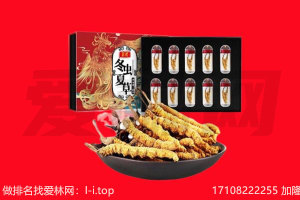 蒙阴县回收虫草.jpg